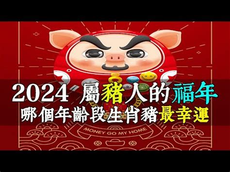 1971屬豬幸運數字|【1971屬豬幸運數字】1971屬豬幸運數字好運相隨！這些數字讓。